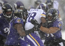 Adrian Peterson 2013 Minnesota Vikings Game Worn Jersey (NFL Auctions Sticker, Meigray LOA)