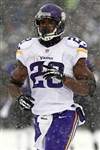 Adrian Peterson 2013 Minnesota Vikings Game Worn Jersey (NFL Auctions Sticker, Meigray LOA)