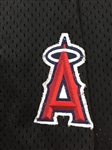 Mike Trout Game Worn Salt Lake BEES Minor League Black Jersey (Photo-Matched, Tremendous Use, Team LOA)