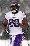 Adrian Peterson 2013 Minnesota Vikings Game Worn Jersey - Photo Matched (RGU,NFL/PSA,Meigray LOA)