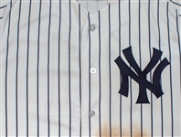 Miguel Andujar 5/30/2018 New York Yankees Game Worn & Signed Pinstripe Jersey - Rookie Season, Dirty! (Steiner LOA)